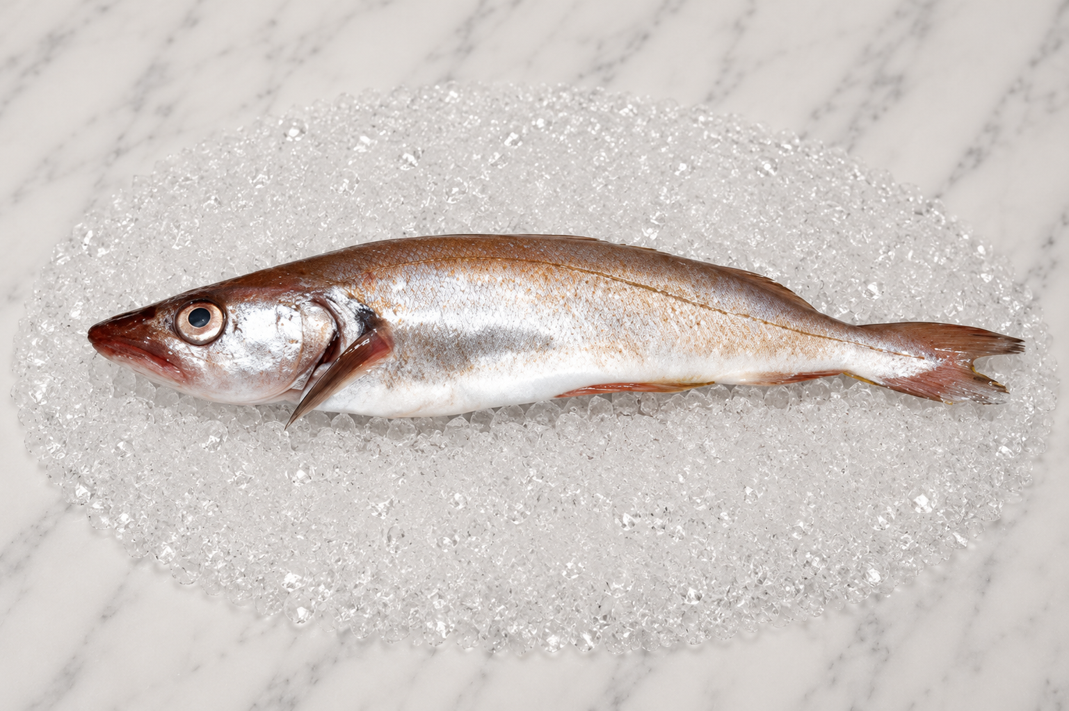 Whiting
