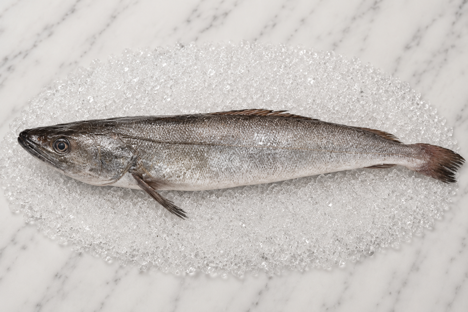 Hake