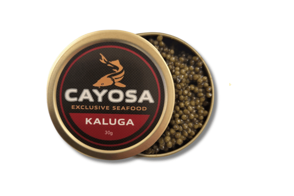 kaluga 30 g.png