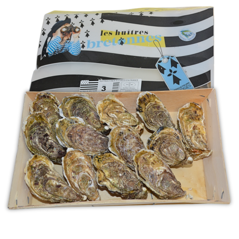 Bretagne østers.png (1)