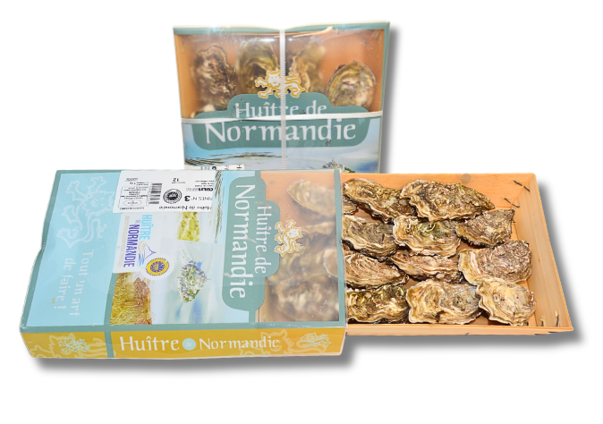 Normandie østers.png