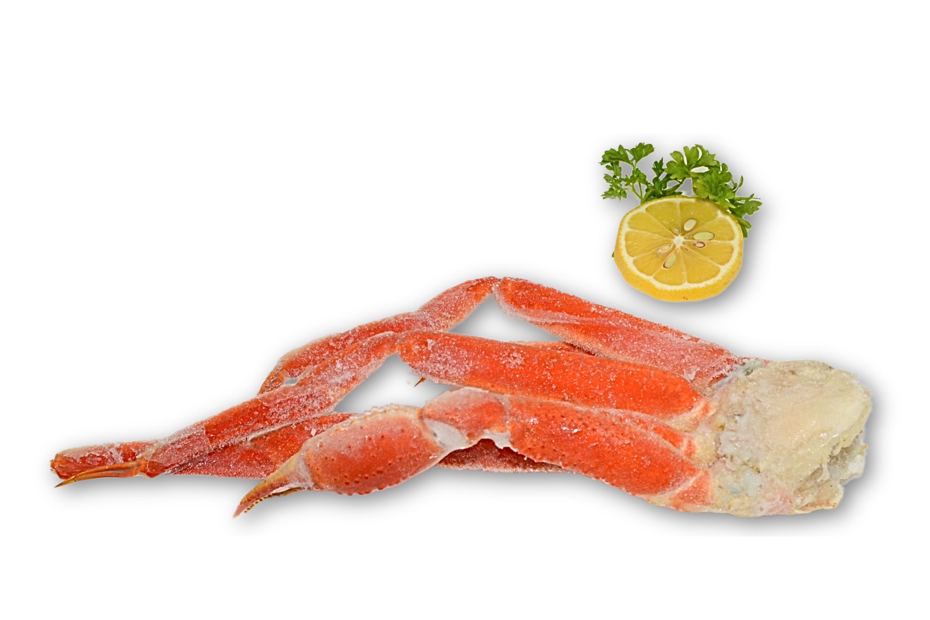 Snow crab single legs.png