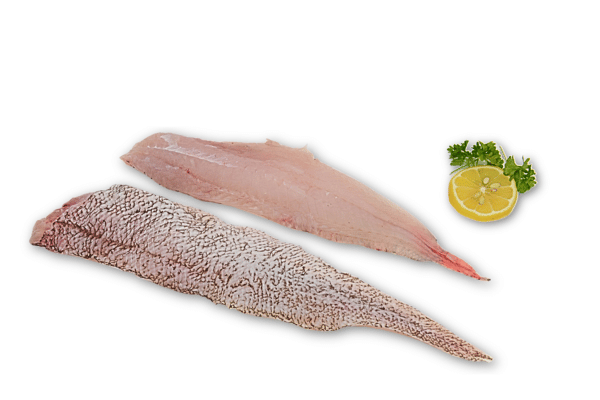 Skalbrosme filet.png